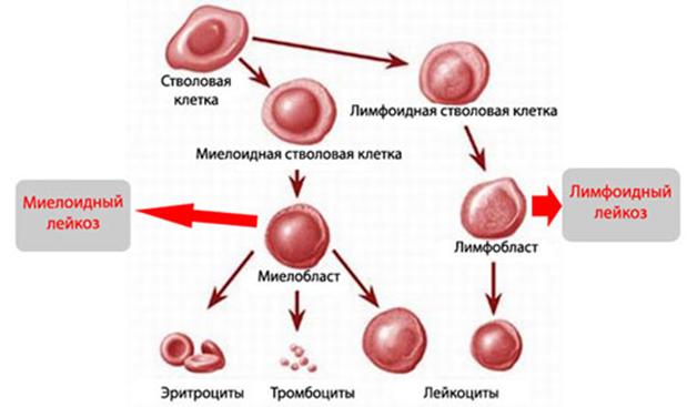 Что с кракеном сайт на сегодня